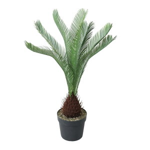 \ec 120cmbGLP-1582A[eBtBVO[ lHϗtA O[   ㎿ i  S[WX rO T z[