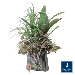 t[AWg H80×W50×D35cm blfBXvC~[WA FBCD-G2500-005 A[eBtBVt[ t[AWg  x[Xt