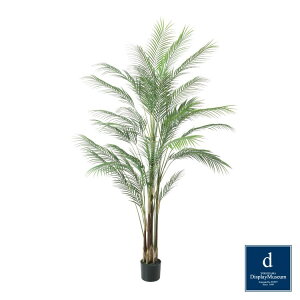 AJVL 185cmbGLP-1550 A[eBtBVO[ lHϗtA tO[   ㎿ i  S[WX rO T z[