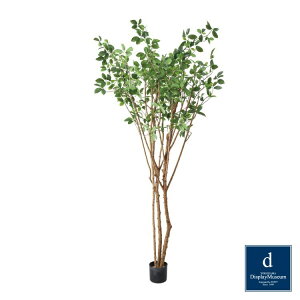 ガジュマルツリー 220cm|GLP-1554 アーティフィシャルグリーン 人工観葉植物 鉢付きグリーン 造花 おしゃれ 上質 上品 高級 ゴージャス リビング サロン ホール
