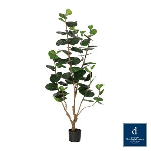 V[O[v 170cmbGLP-1555KK A[eBtBVO[ lHϗtA tO[   ㎿ i  S[WX rO T z[ [׎]