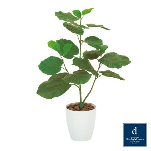 Ex[^ 80cmbGLPA-079 A[eBtBVO[ lHϗtA tO[   ㎿ i  S[WX rO T z[