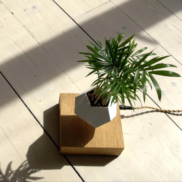 楽天市場】FLYTE フライトライフ｜宙に浮かぶ 回るプランター ポット  