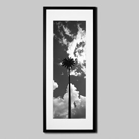IGREBOW ニューカレドニア グランドテール島 高々と空に突き出すヤシの木 ビッグサイズ｜アイグレボウ インテリアフォト ピクチャーアート 写真 スタイリッシュ モダン モノクローム モノクロ