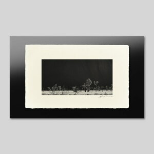 IGREBOW I[XgA E┧Ƒ̎؁bACO{E CeAtHg sN`[A[g ʐ^ X^CbV _ mN[ mN