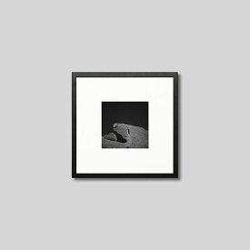 IGREBOW オーストラリア ウルルの岩の割れ目に木｜アイグレボウ インテリアフォト ピクチャーアート 写真 スタイリッシュ モダン モノクローム モノクロ