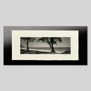 IGREBOW nC IAt r[`Ɩ؉A rbOTCYbACO{E CeAtHg sN`[A[g ʐ^ X^CbV _ mN[ mN