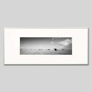 IGREBOW tX u^[j Sl̊[bACO{E CeAtHg sN`[A[g ʐ^ X^CbV _ mN[ mN