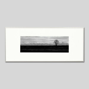 IGREBOW ΐ쌧 \o h̖؂ƗRAbACO{E CeAtHg sN`[A[g ʐ^ X^CbV _ mN[ mN