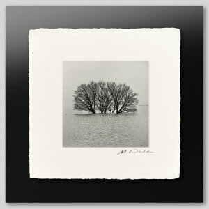 IGREBOW ꌧ ~̔i΁bACO{E CeAtHg sN`[A[g ʐ^ X^CbV _ mN[ mN