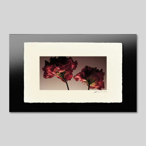 IGREBOW ԂgRLLEbACO{E CeAtHg sN`[A[g ʐ^ X^CbV _ J[ʐ^ J[sN`[