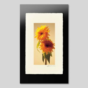 IGREBOW Ђ܂̉ԁbACO{E CeAtHg sN`[A[g ʐ^ X^CbV _ J[ʐ^ J[sN`[