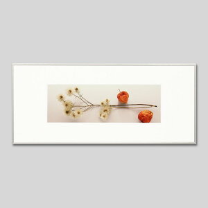 IGREBOW hCt[ƂقbACO{E CeAtHg sN`[A[g ʐ^ X^CbV _ J[ʐ^ J[sN`[