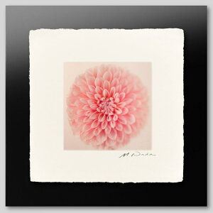 IGREBOW Ԃ̎ʐ^ sÑ_AbACO{E CeAtHg sN`[A[g ʐ^ X^CbV _ J[ʐ^ J[sN`[