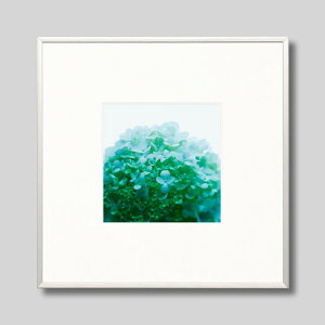 IGREBOW ɗh炮AWTCbACO{E CeAtHg sN`[A[g ʐ^ X^CbV _ J[ʐ^ J[sN`[ rbOTCY