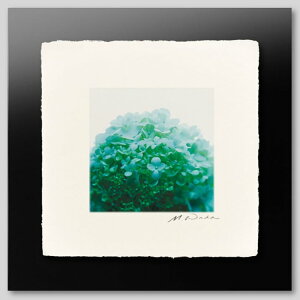 IGREBOW ɗh炮AWTCbACO{E CeAtHg sN`[A[g ʐ^ X^CbV _ J[ʐ^ J[sN`[