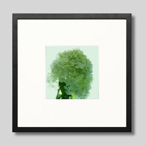 IGREBOW ɗh炮AWTCbACO{E CeAtHg sN`[A[g ʐ^ X^CbV _ J[ʐ^ J[sN`[