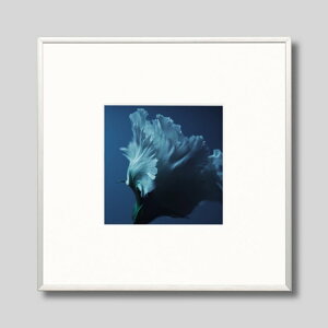 IGREBOW gRLLEbACO{E CeAtHg sN`[A[g ʐ^ X^CbV _ J[ʐ^ J[sN`[