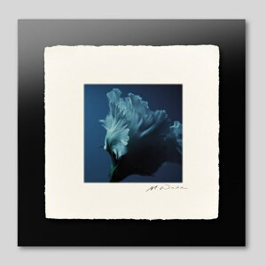 IGREBOW gRLLEbACO{E CeAtHg sN`[A[g ʐ^ X^CbV _ J[ʐ^ J[sN`[