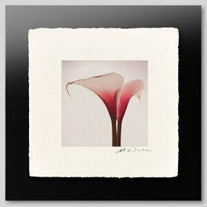 IGREBOW sÑJ[bACO{E CeAtHg sN`[A[g ʐ^ X^CbV _ J[ʐ^ J[sN`[