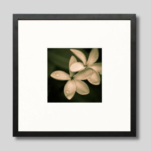 IGREBOW vẢԁbACO{E CeAtHg sN`[A[g ʐ^ X^CbV _ mN[ mN