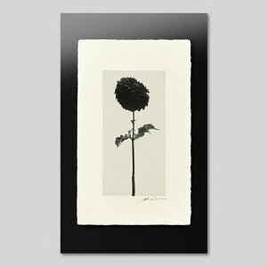 IGREBOW _AbACO{E CeAtHg sN`[A[g ʐ^ X^CbV _ mN[ mN