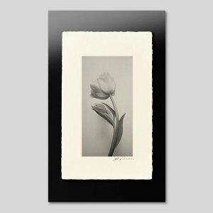 IGREBOW `[bvbACO{E CeAtHg sN`[A[g ʐ^ X^CbV _ mN[ mN