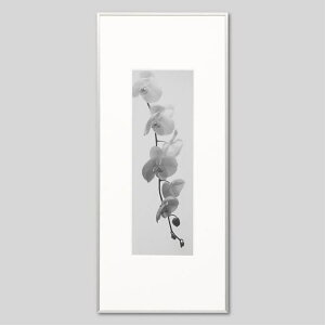 IGREBOW ̉ԁbACO{E CeAtHg sN`[A[g ʐ^ X^CbV _ mN[ mN