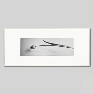 IGREBOW `[bv̉ԁbACO{E CeAtHg sN`[A[g ʐ^ X^CbV _ mN[ mN