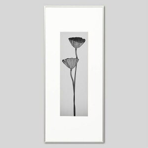 IGREBOW nX̎bACO{E CeAtHg sN`[A[g ʐ^ X^CbV _ mN[ mN