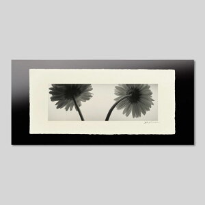 IGREBOW K[xbACO{E CeAtHg sN`[A[g ʐ^ X^CbV _ mN[ mN