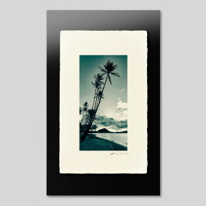 IGREBOW nC 閾̊CƃV̖؁bACO{E CeAtHg sN`[A[g ʐ^ X^CbV _ mN[ mN