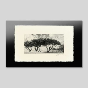 IGREBOW nC NAAr[`ƃR̐NbACO{E CeAtHg sN`[A[g ʐ^ X^CbV _ mN[ mN