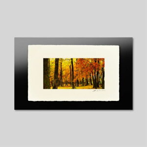 IGREBOW kC gtɐ܂铴ΔȁbACO{E CeAtHg sN`[A[g ʐ^ X^CbV _ J[ʐ^ J[sN`[