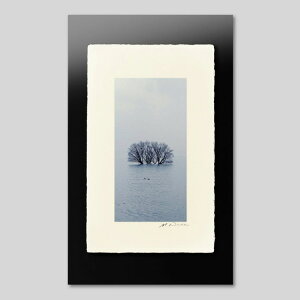 IGREBOW ꌧ ~̔i ΂Ɩ؁bACO{E CeAtHg sN`[A[g ʐ^ X^CbV _ mN[ mN