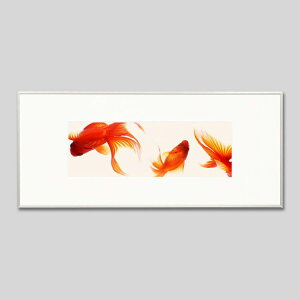 IGREBOW bACO{E CeAtHg sN`[A[g ʐ^ X^CbV _ J[ʐ^ J[sN`[