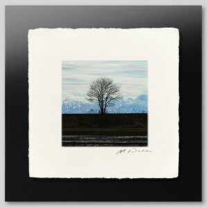 IGREBOW \o h̖؂ƗRAbACO{E CeAtHg sN`[A[g ʐ^ X^CbV _ J[ʐ^ J[sN`[