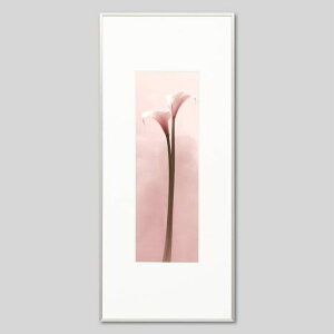 IGREBOW J[̉ԁbACO{E CeAtHg sN`[A[g ʐ^ X^CbV _ J[ʐ^ J[sN`[