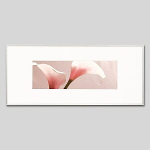 IGREBOW J[̉ԁbACO{E CeAtHg sN`[A[g ʐ^ X^CbV _ J[ʐ^ J[sN`[