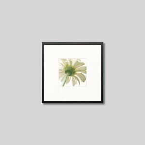 IGREBOW K[x̉ԁbACO{E CeAtHg sN`[A[g ʐ^ X^CbV _ J[ʐ^ J[sN`[