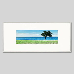 IGREBOW j[JhjA Cӂɐ؁bACO{E CeAtHg sN`[A[g ʐ^ X^CbV _ J[ʐ^ J[sN`[