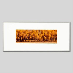 IGREBOW S eW gt̐XbACO{E CeAtHg sN`[A[g ʐ^ X^CbV _ J[ʐ^ J[sN`[