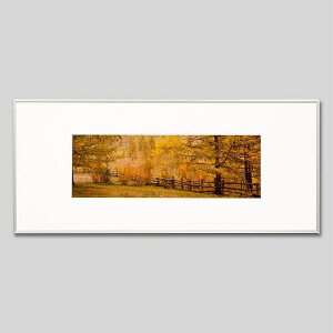 IGREBOW S eW̐XbACO{E CeAtHg sN`[A[g ʐ^ X^CbV _ J[ʐ^ J[sN`[