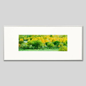 IGREBOW S eW gtƗ΂XbACO{E CeAtHg sN`[A[g ʐ^ X^CbV _ J[ʐ^ J[sN`[