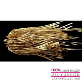 すべての花の画像 50 Fila 壁紙