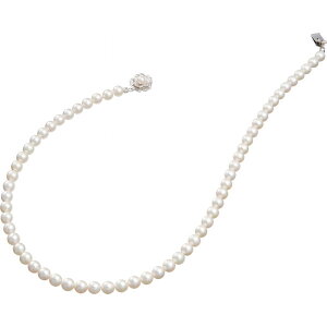 p[Ep[EREx {^lbNXblbNX M tH[} ̂Ή bsOΉ  Iׂ  ܂Ƃߒ p v[g 蕨 Mtg p J^