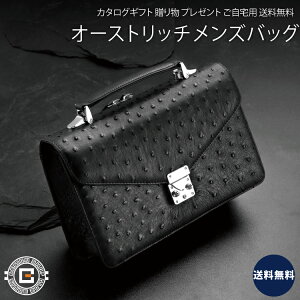 オーストリッチ セカンドバッグ | 通販・人気ランキング - 価格.com 