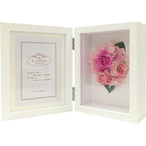 Ey^tHgt[(vUE) sNbtHgt[ CeA ̂Ή bsOΉ  Iׂ  ܂Ƃߒ p v[g 蕨 Mtg p J^