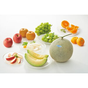 {𖡂키t[clߍ킹bt[c ʕ {̉ʕ Zbg Hi p v[g 蕨 Mtg p i J^OMtg 