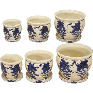 Aؔ6_Zbg(Mt)bCeA K[fjO p v[g 蕨 Mtg p i J^OMtg 